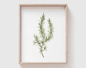 Rosemary Art Print - Rosemary painting - herb painting - watercolor - home decor painting - kitchen art - dining room art - food art - herbs