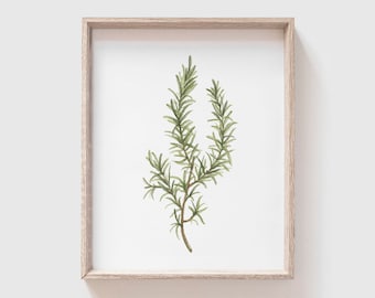 Rosemary Art Print - Rosemary painting - herb painting - watercolor - home decor painting - kitchen art - dining room art - food art - herbs