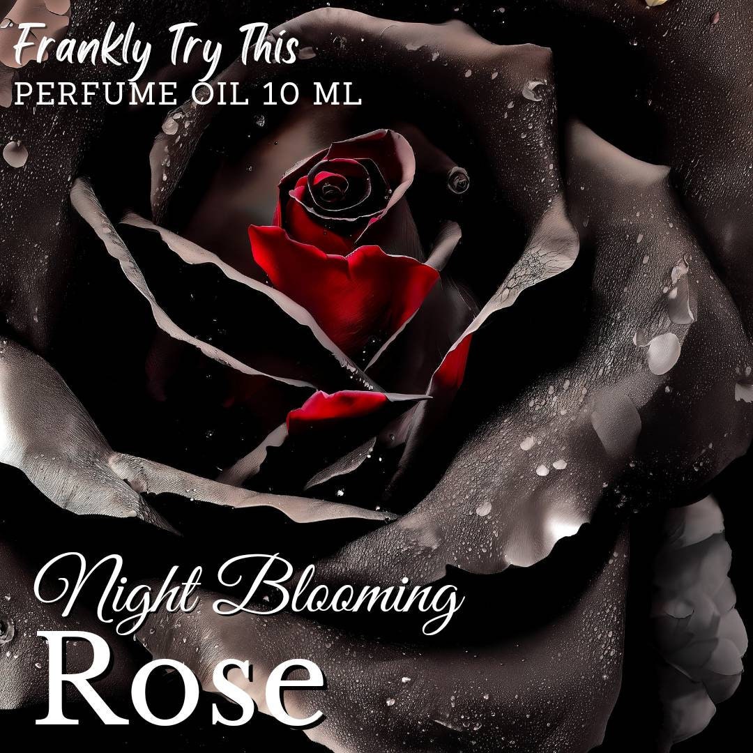 Night Blooming Rose Sultry Night Blooming Roses White Etsy