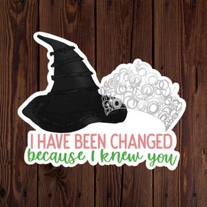 I Am Changed For Good Sticker | Wicked Sticker | Waterproof Sticker | Water Bottle Sticker | Glinda and Elphaba | Wicked Gift