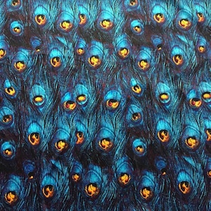 Può includere: Un primo piano di un tessuto con un motivo a piume di pavone. Le piume sono blu, verdi e dorate e sono disposte in un motivo ripetitivo.