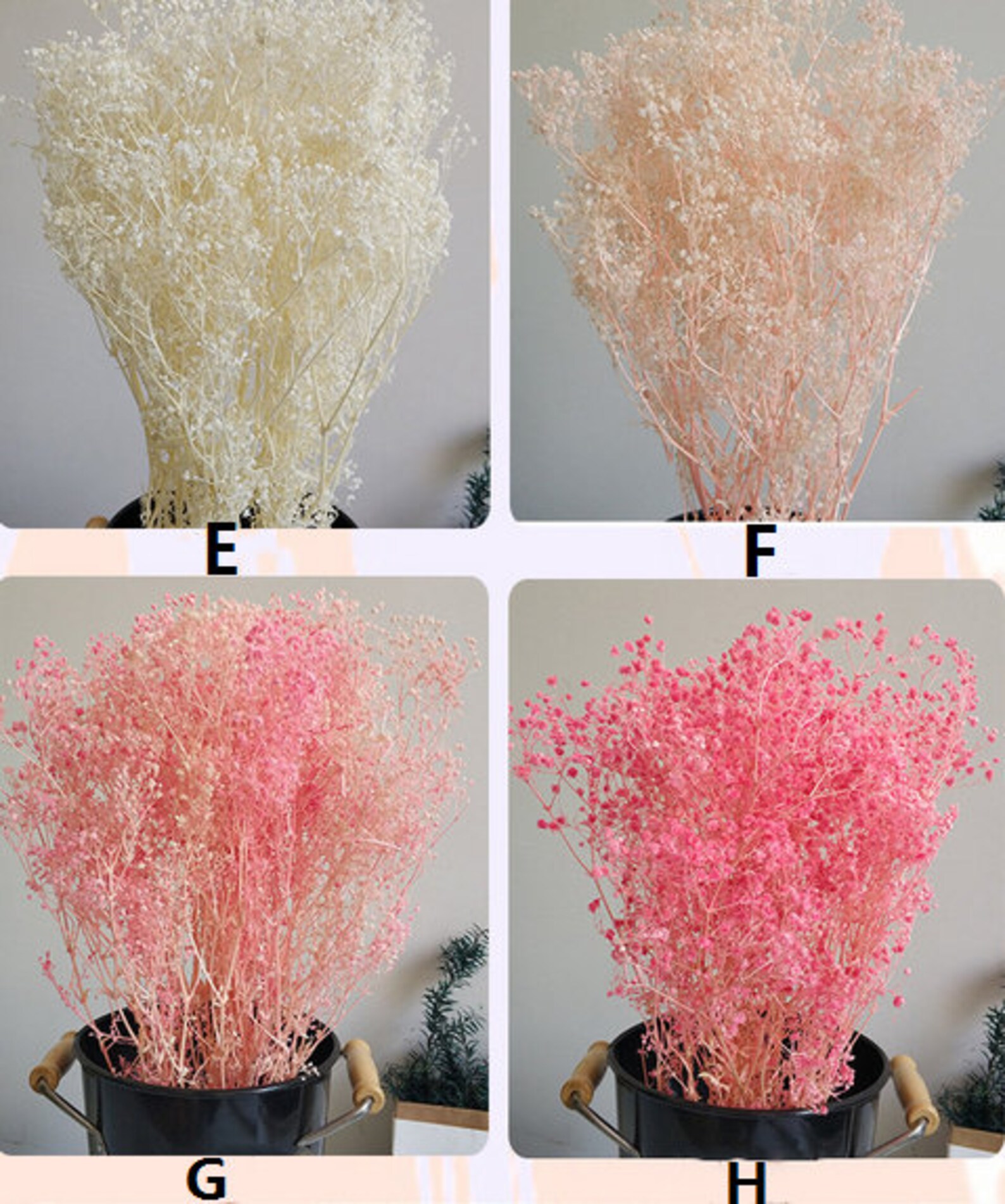 Dried Natural flower Dried ColumbineFloral Bunch Home Etsy