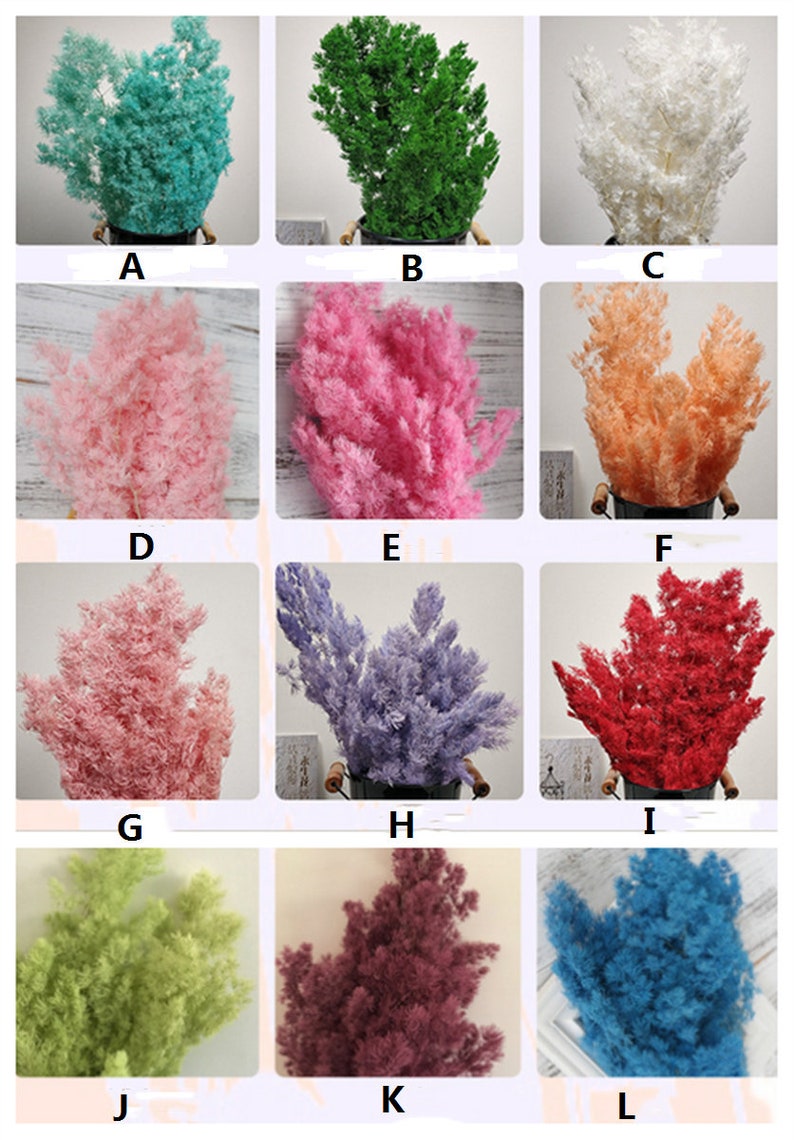 multi-color Decor Floral Supplies Dried Asparagus myriocladus,Floral Bunch Home Decoration 122-69 Dried Natural flower