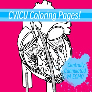 Puede incluir: Un dibujo en blanco y negro de un corazón humano con dos tubos insertados. Los tubos están etiquetados como "Cannulación Central VA ECMO".
