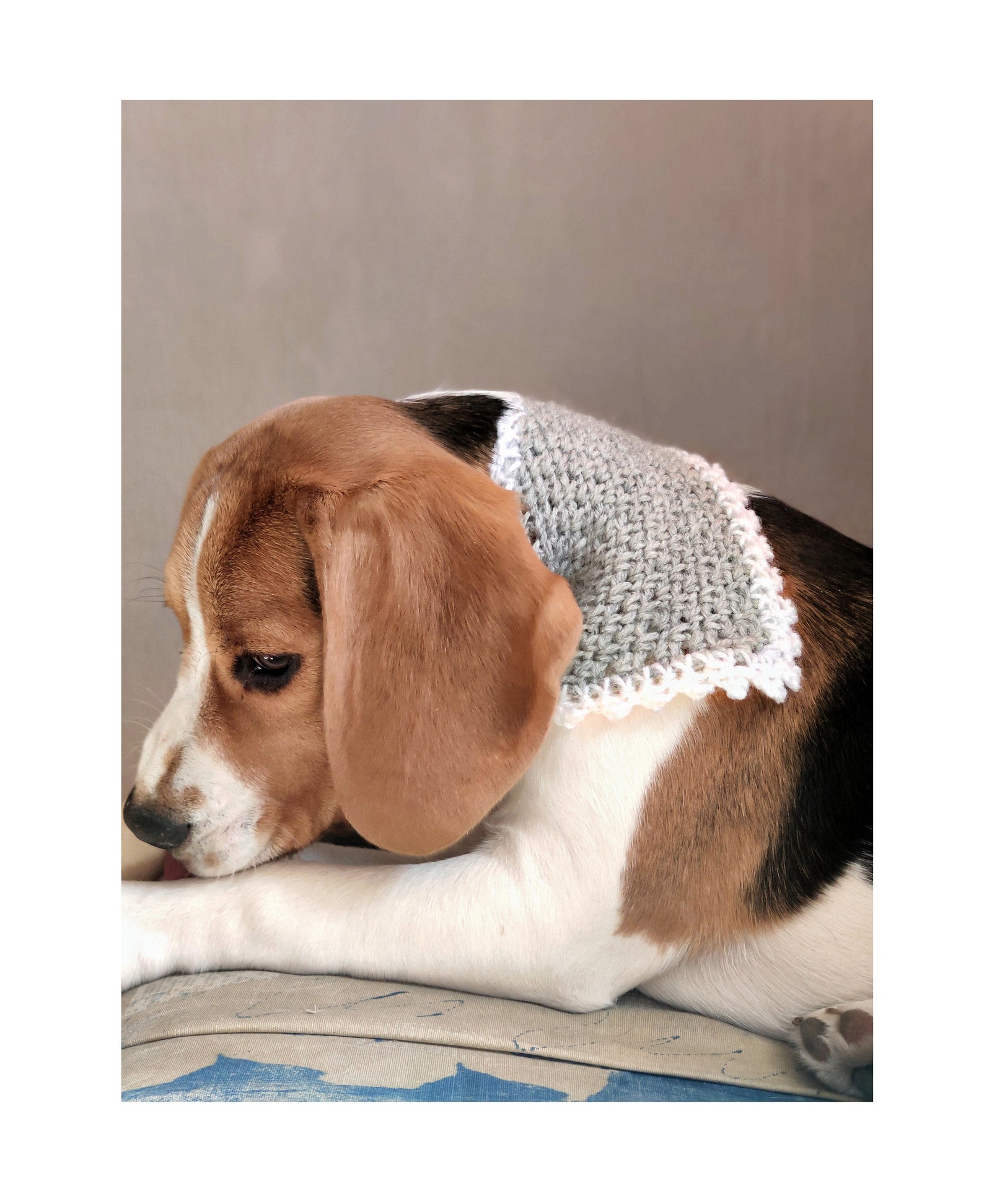Crochet pattern for the Dog Bandana Dogs crochet scarf Etsy
