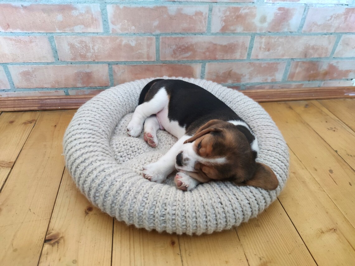 Crochet pattern for the Round Pet Bed for small dogs and Etsy