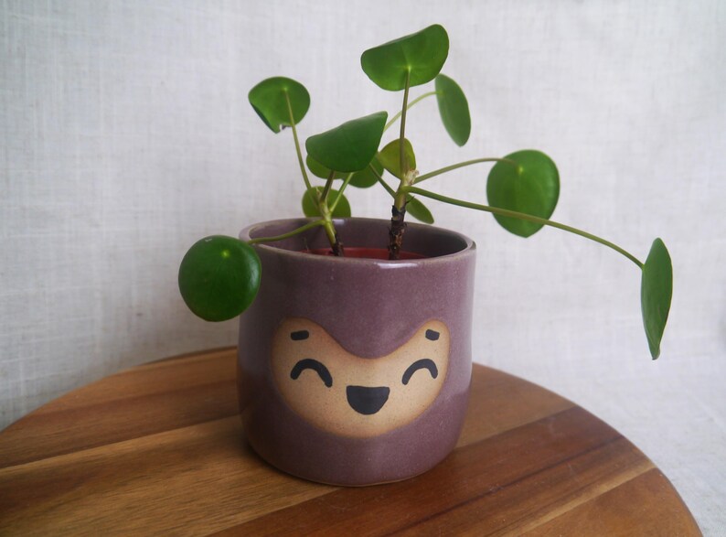 May include: A small, purple ceramic pot with a smiling face design, holding a green plant with round leaves. The pot sits on a wooden surface, with a white background.