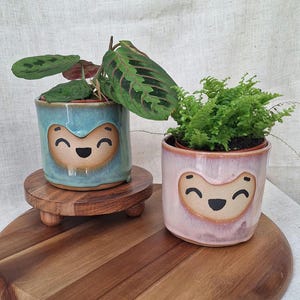 May include: Two ceramic plant pots with smiling faces, one light blue and one pink, each holding a houseplant. The blue pot sits on a small wooden stand. The plants have green leaves.