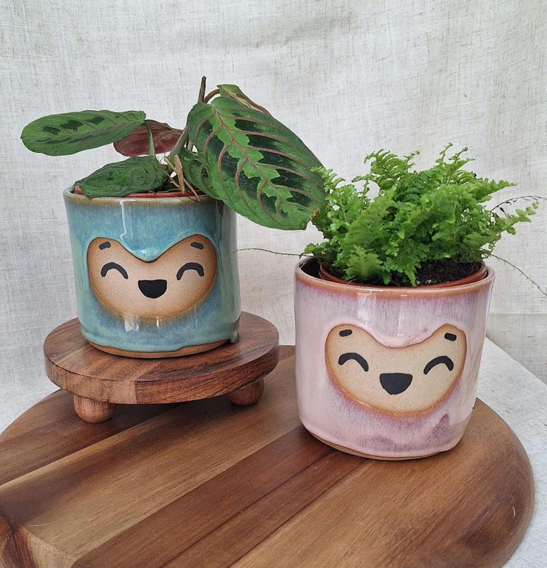 May include: Two ceramic planters with smiling faces, one light blue and one pink, each holding a houseplant. The blue planter sits on a small wooden stand. The plants have green leaves.