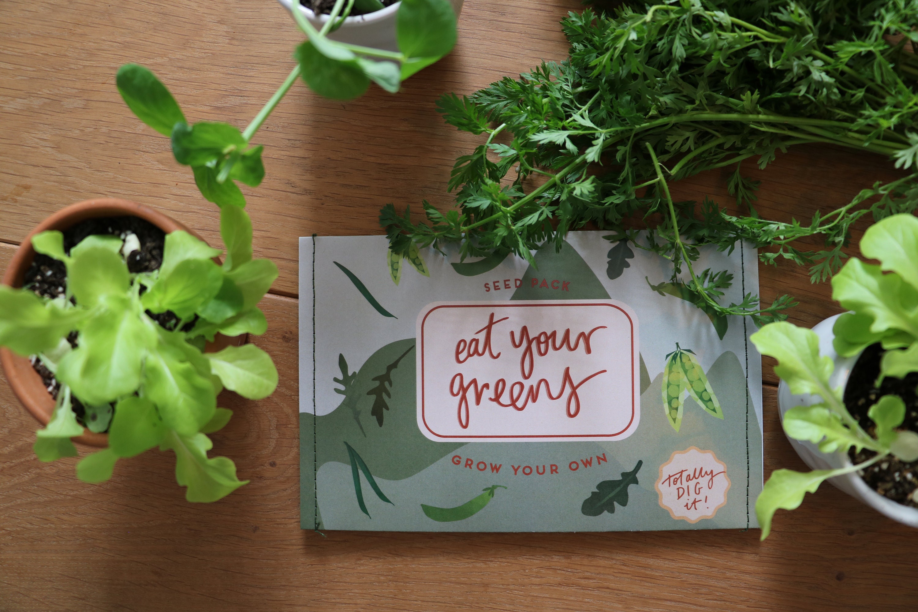 Multi Seed Gift Packs Etsy Australia