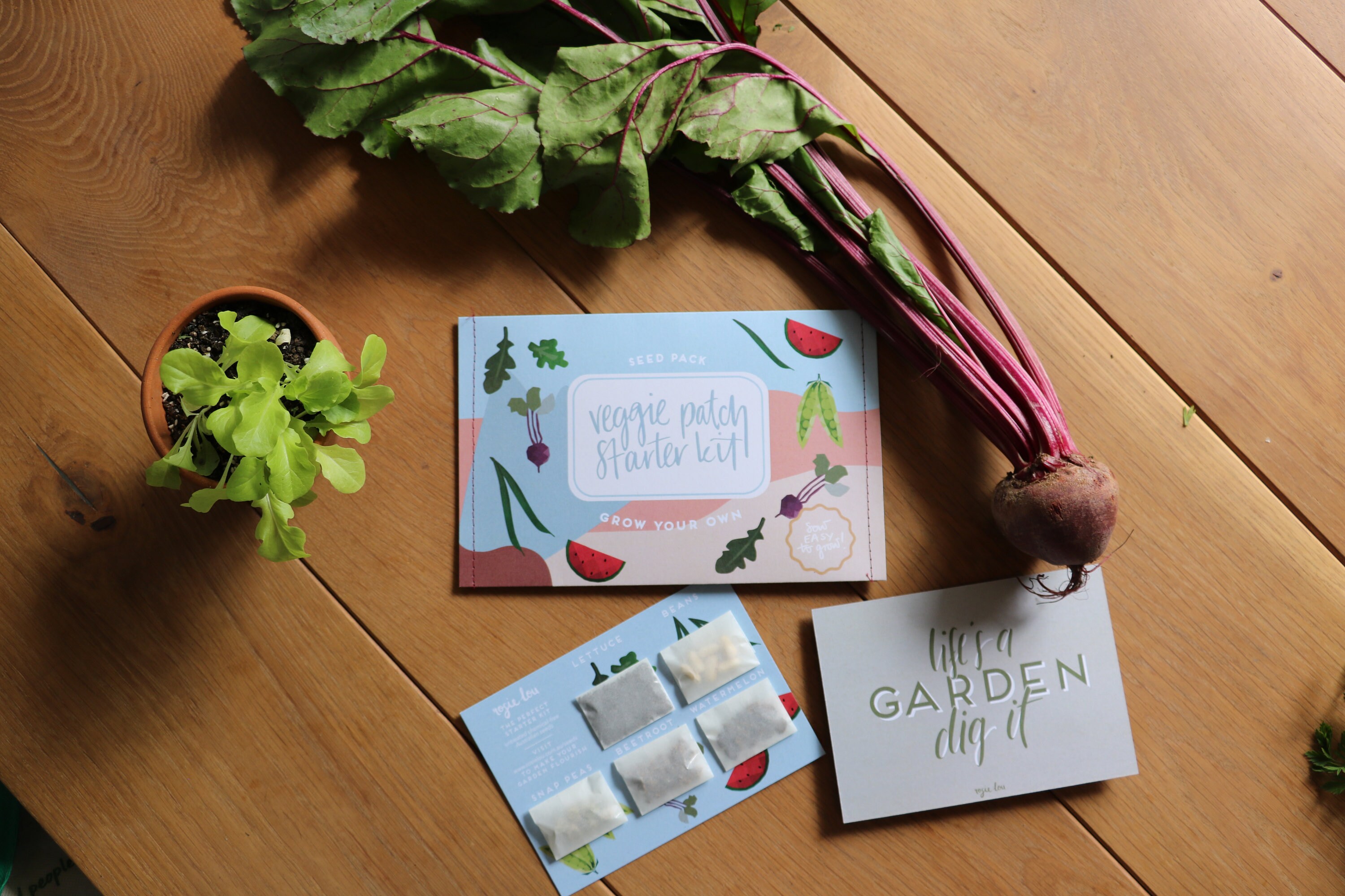 Multi Seed Gift Packs Etsy Australia