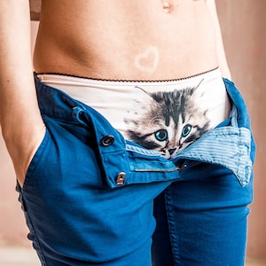 Cat Print Hipster Panties: Lickstarter, Mid-Rise Underwear