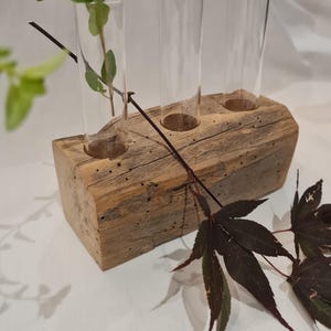 Barn Wood Propagation Station/Plant Propagation Station, Plant Holder, Propagation Tube, Hydroponic Vase, Indoor Planter, Plant Gift -