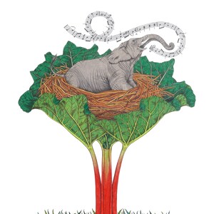 the elephant is a pretty bird children&#39;s street rhyme poster. High quality gyclee print from an original illustration by shop owner.