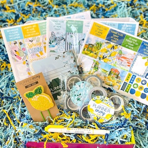 Limões Itália Toscana Limpeza de Primavera Pássaros Coelhinhos Azul Claro Amarelo Marinho. Caixa de assinatura do Planner Envy de maio de 2023.