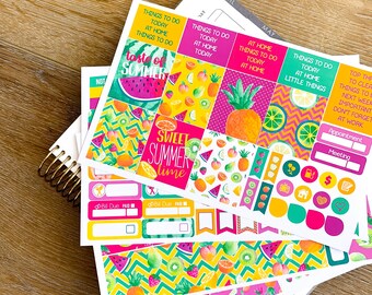 Summer Fruit Pineapple Watermelon Planner Stickers Weekly Kit to be used with Erin Condren & Happy Planner - 134 Stickers (#12,084)