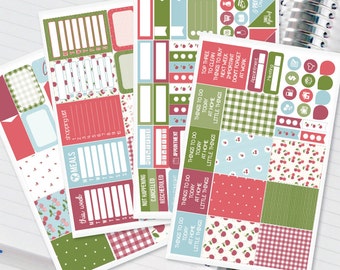 Summer Picnic Cherries Planner Stickers Weekly Kit for Erin Condren Recollections & Happy Planner - 134 Stickers (#12,019)