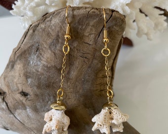 Coral Shell Drop Dangle Earrings in Gold