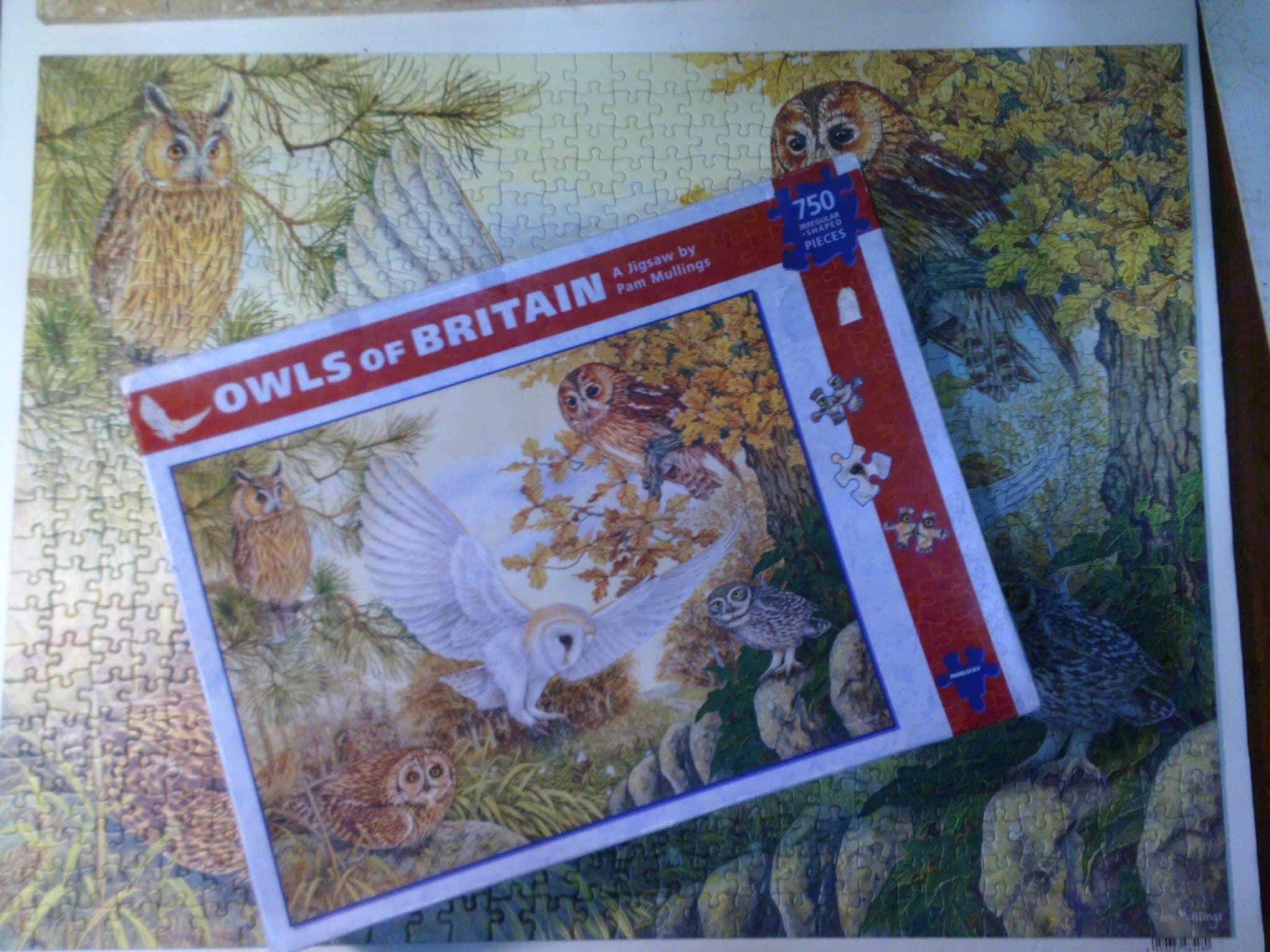 Owls of Britain jigsaw puzzle