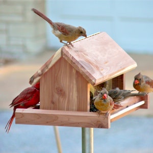 Cardinal Bird Feeder is hand crafted from finely milled aromatic red cedar and hangs from a rust resistant chain, it can be pole mounted