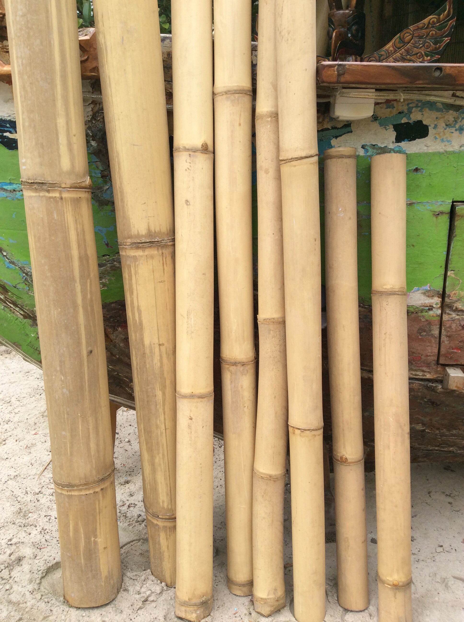 Bamboo tube Bamboo pole Bamboo Giant Bamboo 4 x 67 cm x 1 m Etsy