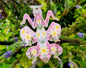 Birth Bug Maart / Maandelijkse Geboorte Bloem Insect / Narcissen / Orchid Mantas / Vinyl Sticker Sticker / Waterdichte Waterbottle Laptop