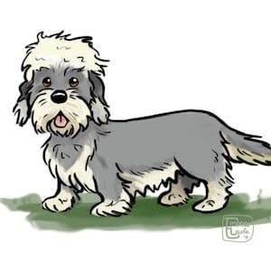 Dandie dinmont greeting card