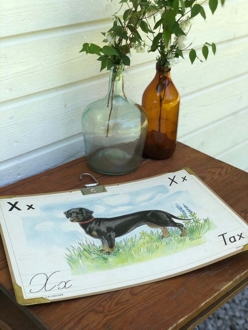 May include: A vintage educational chart featuring the letter "X" and a black and brown dachshund dog. The chart is titled "Tax" and has the letter "X" written in cursive at the bottom. The chart is on a wooden table with two glass bottles and a bouquet of white flowers.
