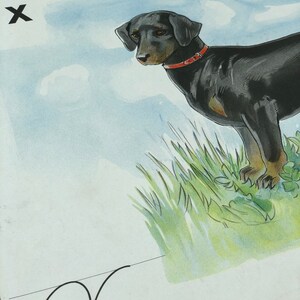 May include: A black and brown dog with a red collar stands in a field of green grass. The letter 'X' is written in black at the top of the image. The letter 'X' is written in cursive on a line below the dog.