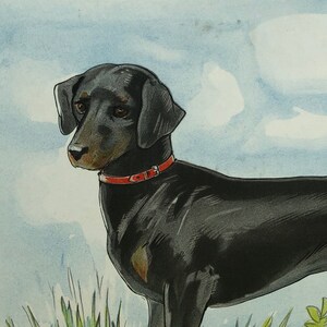 May include: A black and brown dog with a red collar, looking to the left, against a light blue watercolor background.