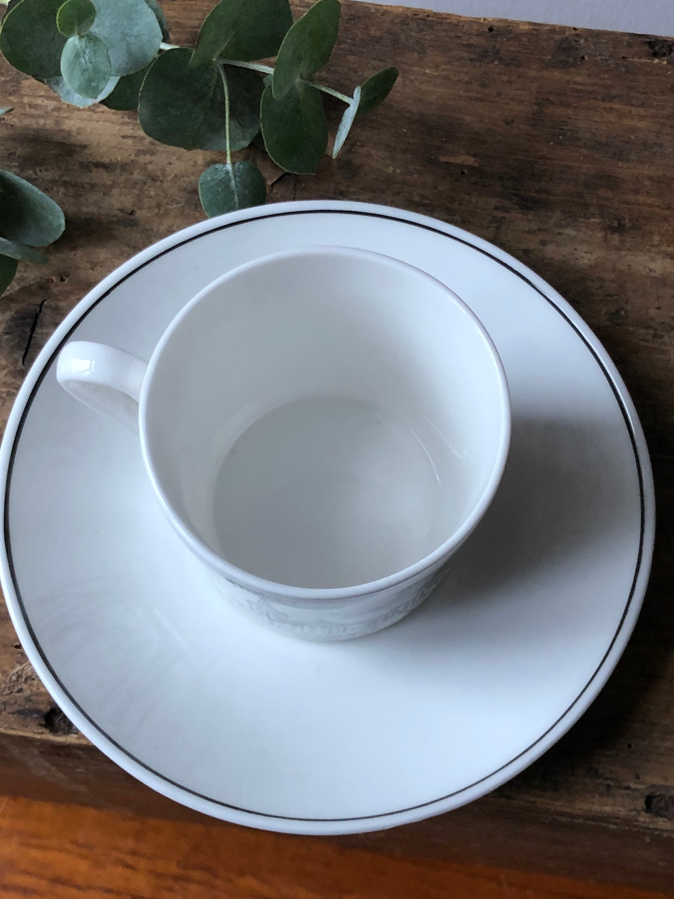 Gustavsberg cup and saucer Stockholm cityscape of famous buildings in