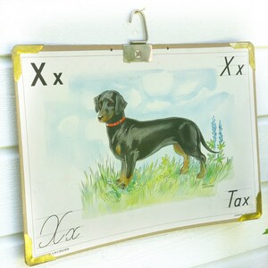 May include: Vintage educational chart featuring the letter "X" and a black and brown dachshund dog. The chart has a brown frame with gold trim and the text "Tax" is written in the bottom right corner.