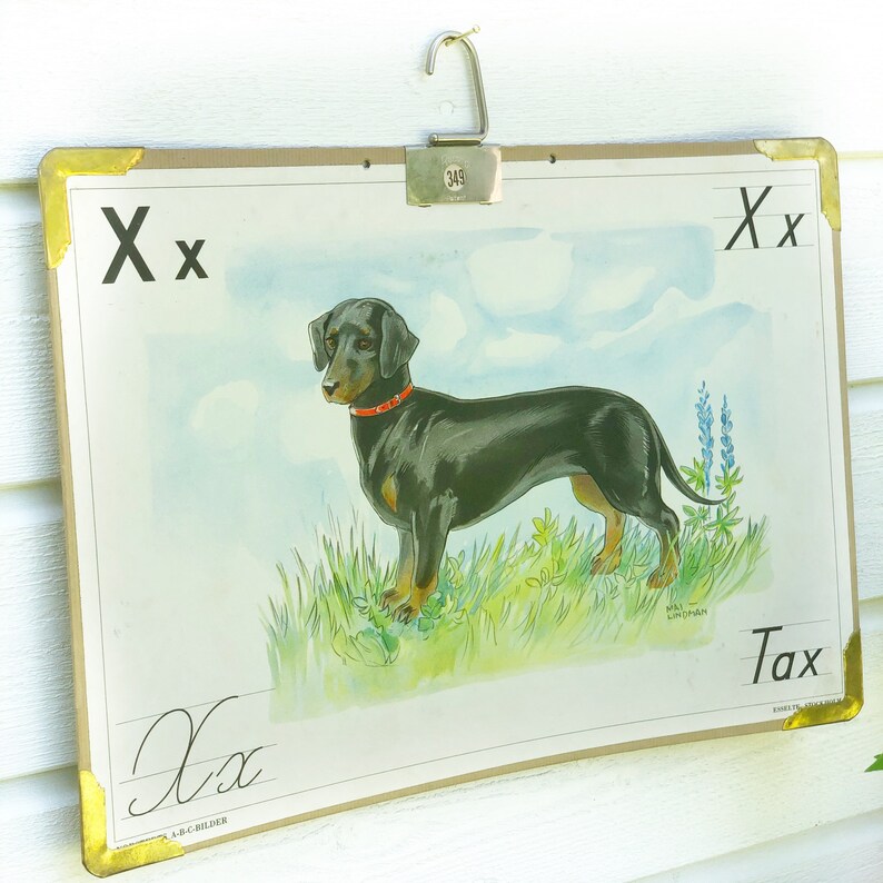 May include: Vintage educational chart featuring the letter "X" and a black and brown dachshund dog. The chart has a brown frame with gold trim and the text "Tax" is written in the bottom right corner.