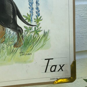 May include: A vintage educational poster featuring a black and brown dachshund dog standing in a field of green grass and blue lupine flowers. The poster is titled "Tax" and is signed "Maj Lindman" in the bottom left corner. The poster is printed by Esselte Stockholm.