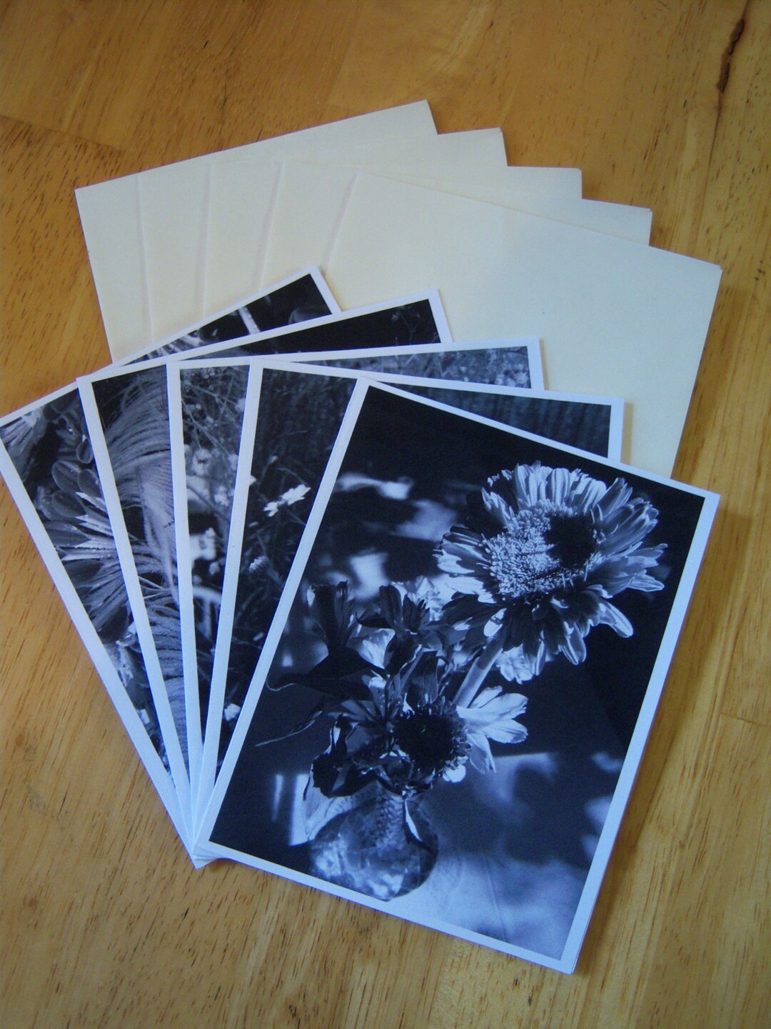 Greeting Cards,note Cards,black and White Photography,ooak Cards