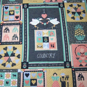 May include: A colourful quilt with a patchwork design featuring hearts, houses, and other country-themed motifs. The quilt has a blue, green, and white border and the text "I love country" in the centre.