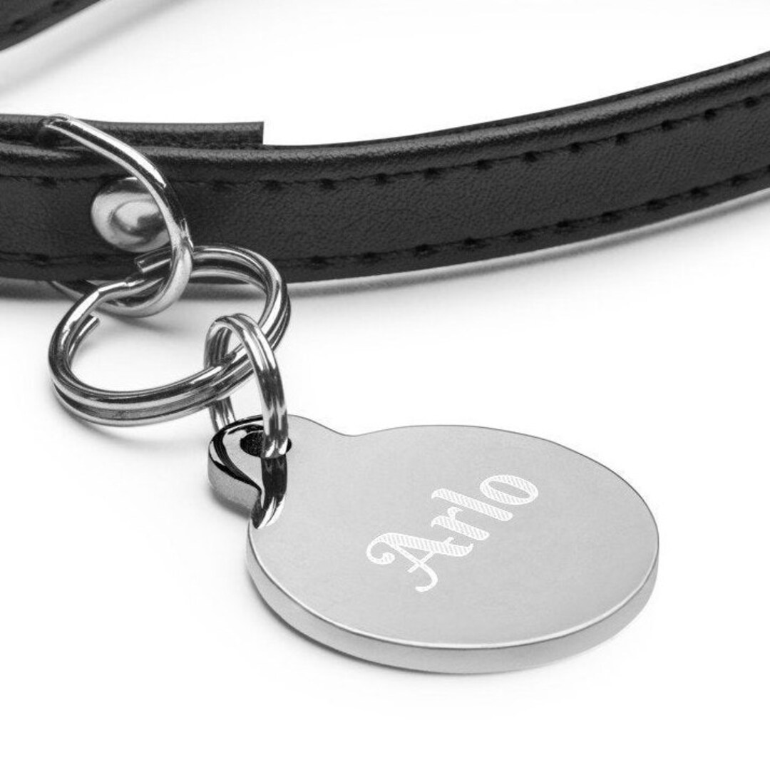 Personalized Pet Tag Custom Dog Tag Cat Tag Cat Collar Tag Cat ID Tag