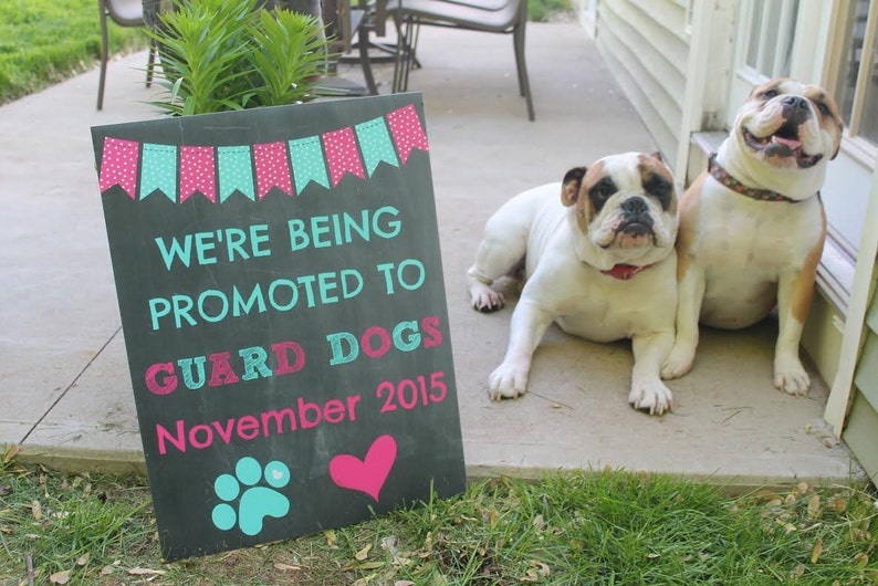 Dog Pregnancy Announcement Chalkboard Printable Photo Prop