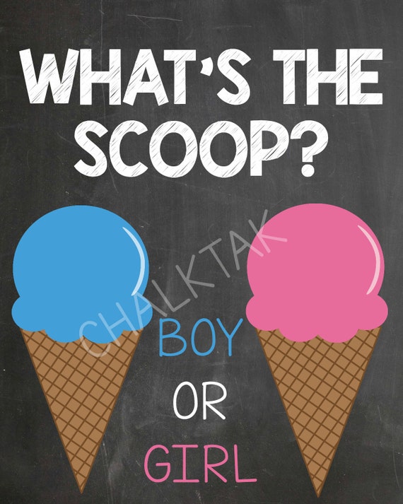 What's The Scoop Gender Reveal What's The Scoop Etsy