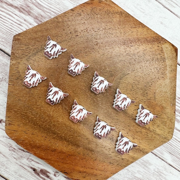 Engraved Highland Cow Acrylic Stud Earring Blanks Set of 5 Pair DIY Jewelry Making