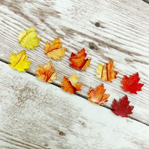 May include: Ten fall-themed maple leaf embellishments in various shades of red, orange, and yellow. The leaves are arranged in a row on a light wood background.