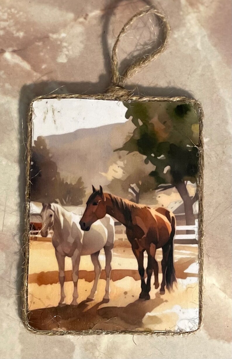 Life on the Ranch Ornament Set/ Ranch Ornaments/cowboy Christmas