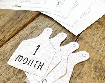 Baby Monthly Milestone | DIY Digital Download | Baby Milestone Cards | Printable Baby Milestones | Western Baby Milestone