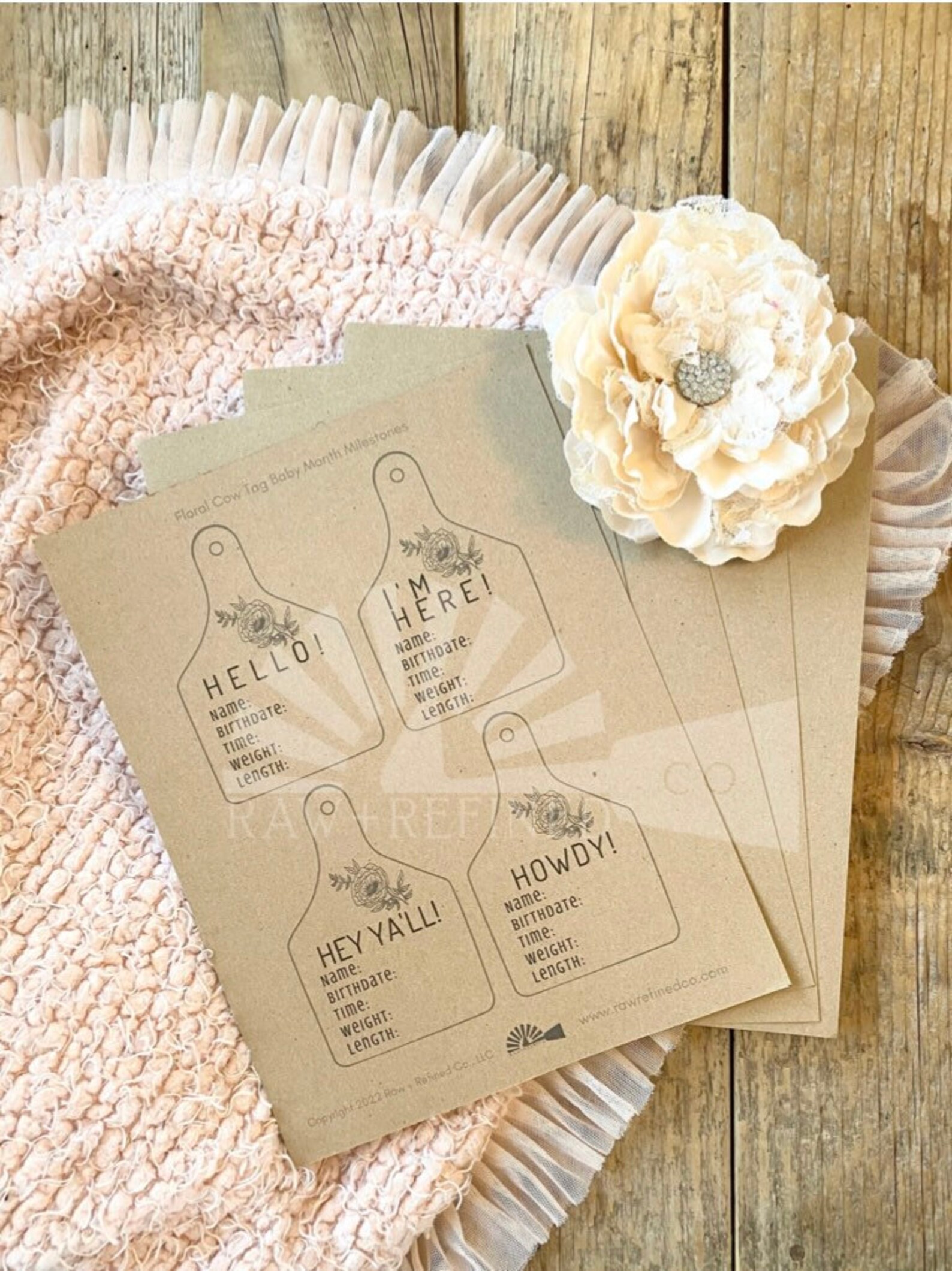 Baby Monthly Milestone DIY Digital Download Baby Milestone - Etsy