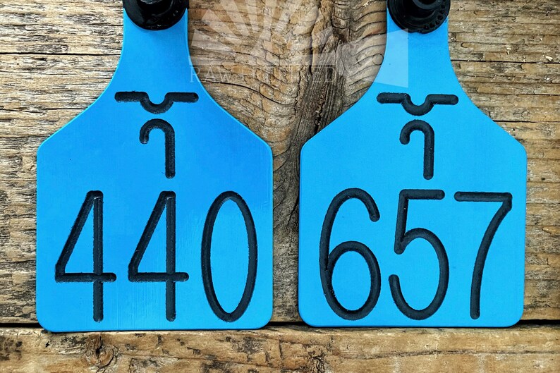Custom Engraved Ritchey Large Cow Ear Tags Cattle Tags Ear Etsy
