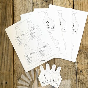 Baby Monthly Milestone | DIY Digital Download | Baby Milestone Cards ...