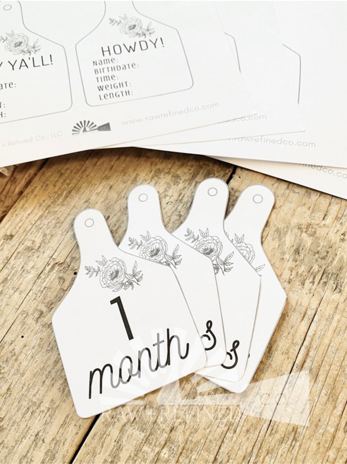 Baby Monthly Milestone DIY Digital Download Baby Milestone - Etsy