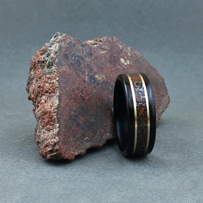 dinosaur meteorite