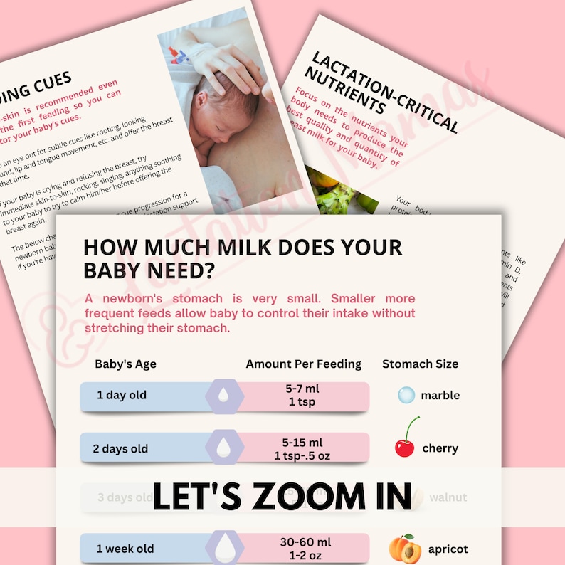 Breastfeeding Guide, Postpartum Breastfeeding Brochure, Baby Feeding ...