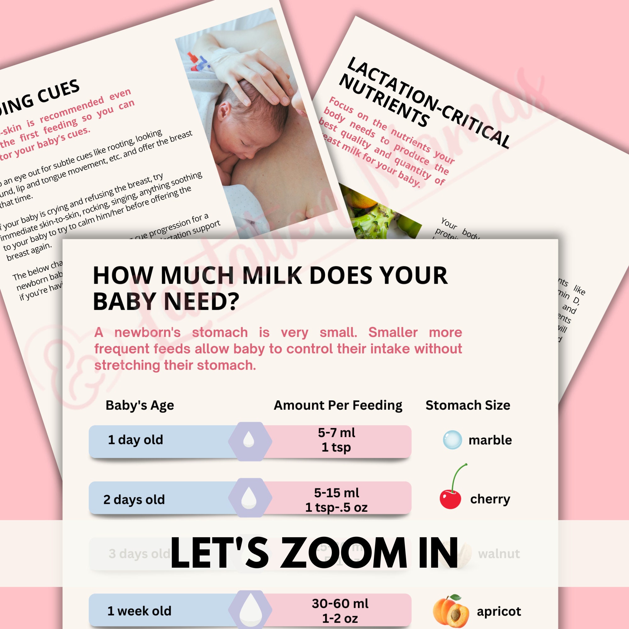 Breastfeeding Guide, Postpartum Breastfeeding Brochure, Baby Feeding ...